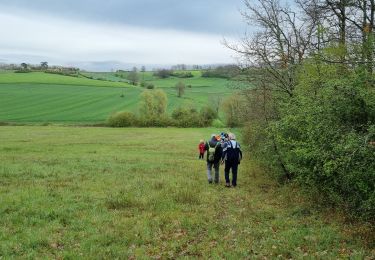 Trail Walking Vianne - ARAV  Vianne - Photo