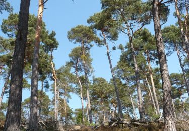 Randonnée A pied Neuleiningen - Rundweg Rahnenhof 3 - Photo