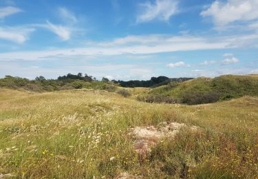 Tour Wandern Saint-Georges-d'Oléron - domino - Photo