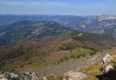 Excursión Senderismo Péone - Dôme de Barot - Photo