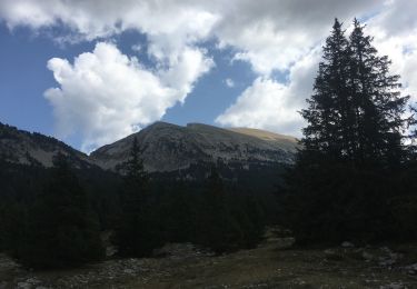 Randonnée Marche Saint-Agnan-en-Vercors - Grand Veymont par pré râteau  - Photo