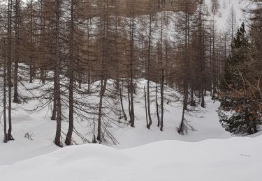 Tocht Sneeuwschoenen Entraunes - cabanes de sanguinieres et roche trouée - Photo