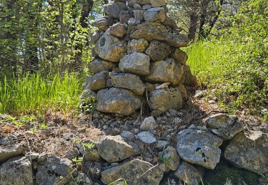 Trail Walking Saint-Vallier-de-Thiey - Montagne de Thiey - Photo