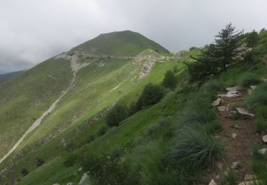 Tour Wandern Moulinet - Cimes de Ventabren et Mangiabo depuis l'Authion - Photo