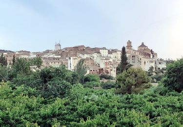 Tocht Te voet Tivissa - Jardí conreat. Tivissa - Photo