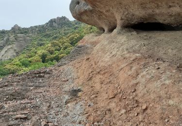 Trail Walking Roquebrune-sur-Argens - les 3 croix - Photo