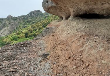 Tour Wandern Roquebrune-sur-Argens - les 3 croix - Photo