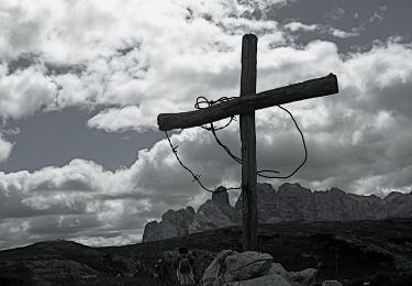 Trail On foot Auronzo di Cadore - IT-224 - Photo