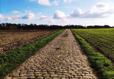 Excursión Senderismo Heers - Promenade à travers champs à Vechmaal  - Photo