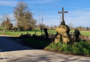 Tour Wandern Condat-sur-Vienne - Condat s/v - Photo