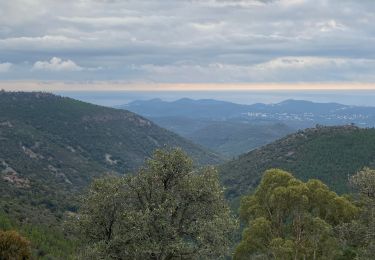 Trail Walking Fréjus - Estérel  - Photo