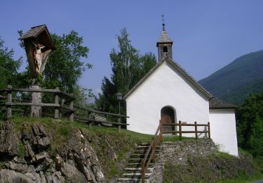 Tour Zu Fuß Gemeinde Virgen - AT-315 - Photo