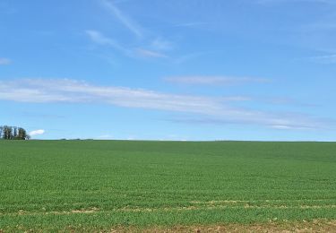 Excursión Senderismo Waremme - Waremme ( autour de la vallée du Geer) - Photo