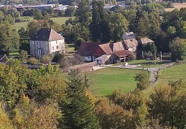 Trail Walking Thise - Thise et sa Dame blanche - Photo