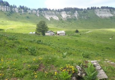 Tocht Stappen Engins - Circuit pas de la Lose, du Tracollet, de l'Ours avec un retour par le passage  de la Grande Combe - Photo