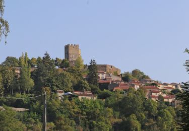 Randonnée A pied Montaigut-le-Blanc - Le Sentier de la Gaillarde - Photo