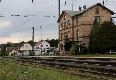 Percorso A piedi Messel - Rundwanderweg Messel 1: Urpferdchen-Weg - Photo