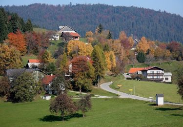 Randonnée A pied Zreče - Gorenje 7 - Photo