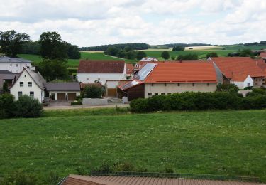 Percorso A piedi Polsingen - Rundwanderweg Polsingen 24 - Photo