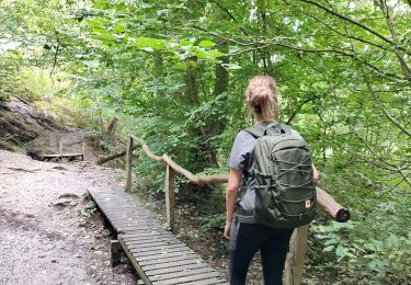 Tocht Stappen Pepinster - La promenade de Tribomont  - Photo