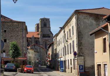 Excursión Senderismo La Chaise-Dieu - Folgoux - Photo