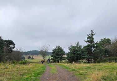 Trail Walking Le Bouchet-Saint-Nicolas - STEVENSON Le Boucher St Nicolas à Pradelles - Photo