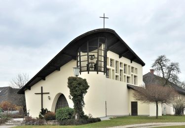 Percorso A piedi Schlierbach - Kremstalweg - Photo