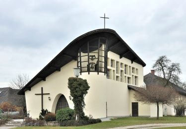 Randonnée A pied Schlierbach - Kremstalweg - Photo