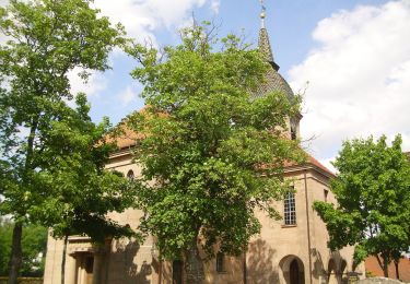 Tour Zu Fuß Röttenbach - Loreleiweg Georgensgmünd - Photo