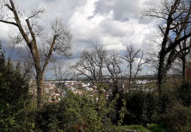 Randonnée Marche Colomiers - cabirol/armurier - Photo