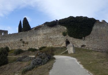 Trail Walking Rochefort-en-Valdaine - Le Colombier Montjoyer Citelle Rochefort 19km - Photo