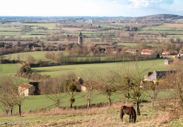 Tocht Stappen Val-au-Perche - Le Theil-sur-Huisne (Val-au-Perche) - Saint-Cyr-la-Rosière 11 km - Photo