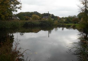 Tour Wandern Les Authieux-sur-le-Port-Saint-Ouen - 20221018-Gouy - Photo