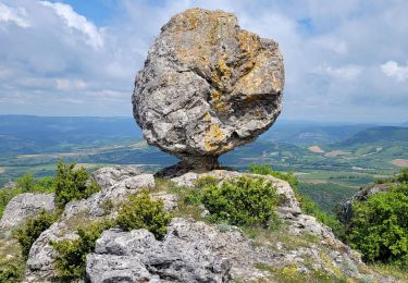 Trail Walking Roquefort-sur-Soulzon - le rocher de Roucangel - Photo