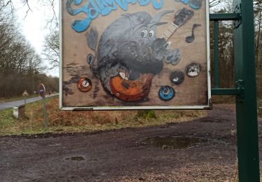 Tour Wandern Saint-Amand-les-Eaux - Mesnil, version plus longue - Photo