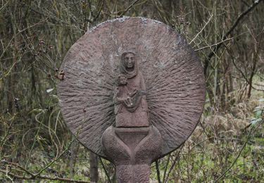 Tocht Te voet Randersacker - Weinwanderung 'Marsberg' - Photo