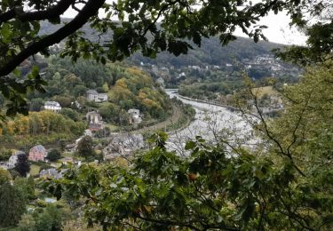 Excursión Bici de montaña Yvoir - GODINNE ... par la Sibérie de Profondeville. - Photo