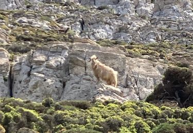 Trail Walking  - Chora>>monastère >> chora>>katapola - Photo