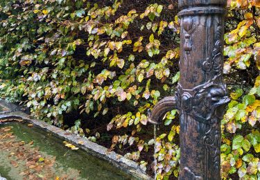 Tour Wandern Libin - Redu - Photo