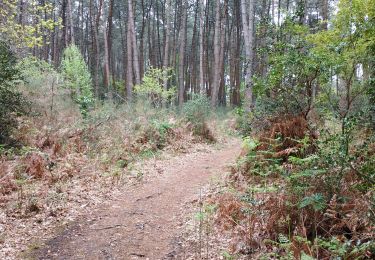 Trail Walking Gradignan - Villenave  - Photo