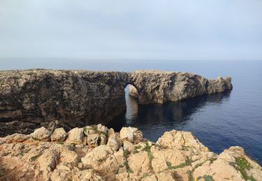 Excursión Senderismo Ciudadela - Cales Piques – Cala Morell - Photo