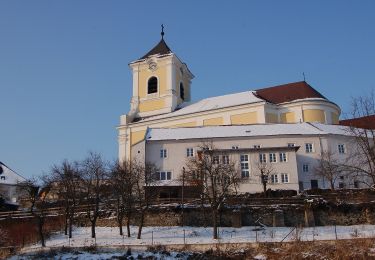 Randonnée A pied Gemeinde Kirchberg am Wechsel - Panorama Wanderweg (Kirchberg a.W.) - Photo