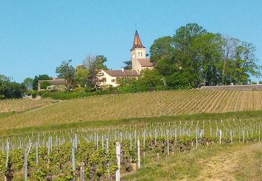Trail Walking Moroges - pharmacie +marche ::: - Photo