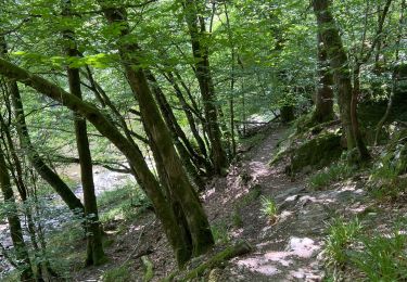 Randonnée Marche Florenville - Azy-les épioux depuis Chassepierre - Photo