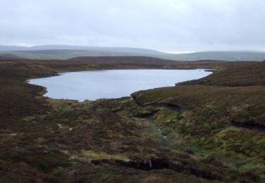 Randonnée A pied  - Collaster Loch and Northhouse Loch - Photo