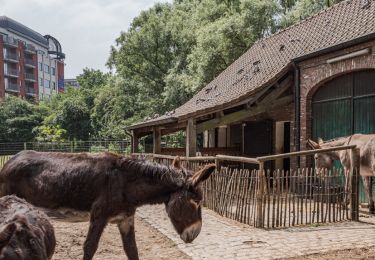 Excursión Senderismo Bruselas - Laeken - Schaerbeek - Photo