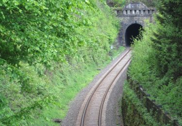 Tour Zu Fuß Rösrath - Bergbauweg - Photo