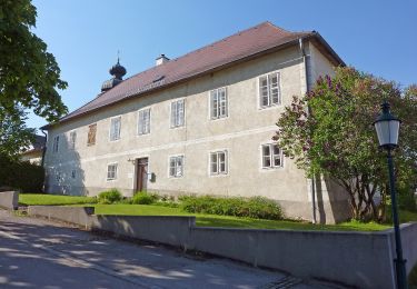 Percorso A piedi Gemeinde Sallingberg - Mönchwaldweg 14 - ora et labora - Photo