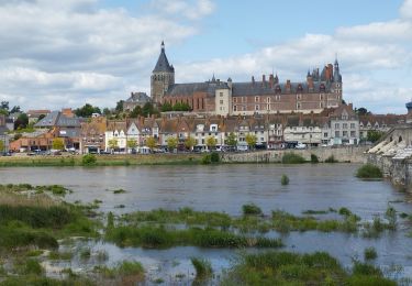 Trail Walking Briare - de Briare au camping de Gien - Photo