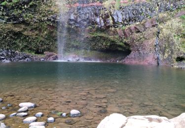 Trail Walking Calheta - Levada do Aletrim - Photo